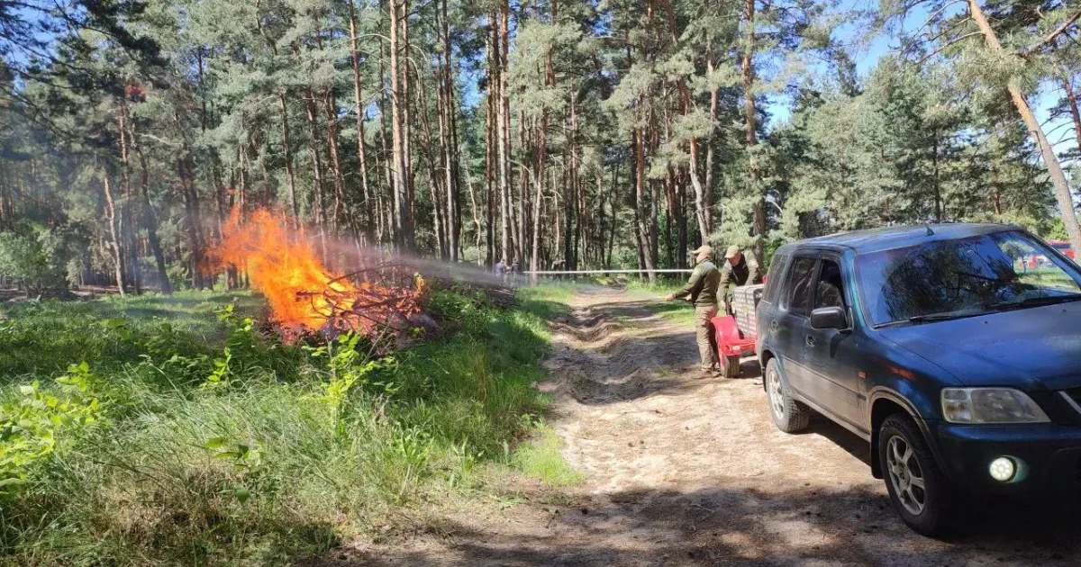 Фото Мереф'янської громади У Мереф`янській громаді пройшли пожежно-тактичні навчання з ліквідації лісової пожежі на порталі Gromada Group