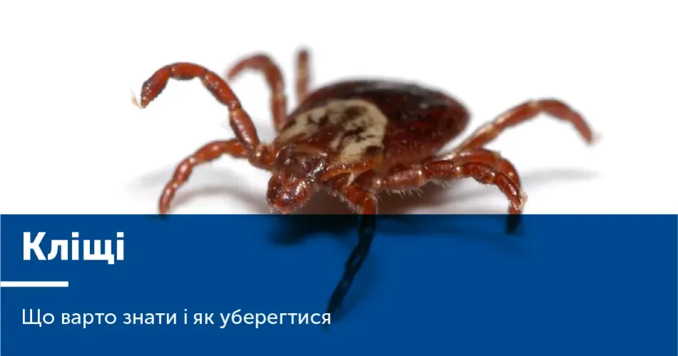 Відділ військового обліку та цивільного захисту Мереф'янської міської ради нагадав місцевим жителям правила щодо запобігання укусів кліщів.