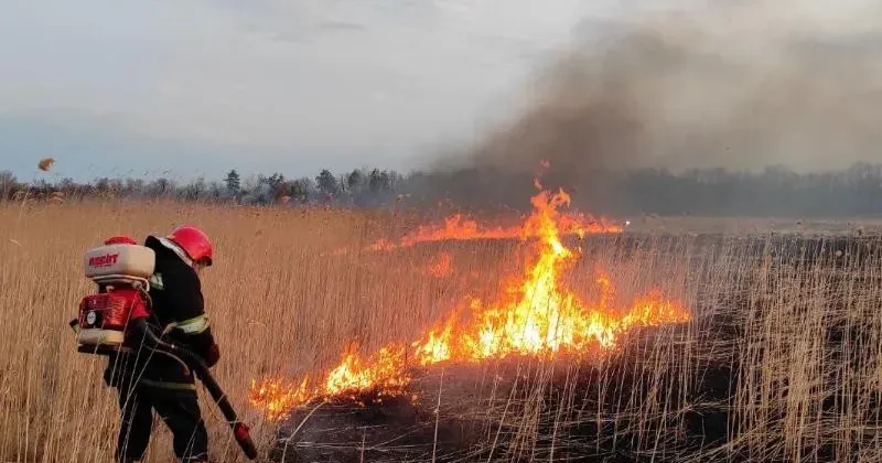 Відділ охорони праці та безпеки життєдіяльності поділився інформацією про види покарань за необережне поводження з вогнем або навмисний підпал населенням природних угідь.